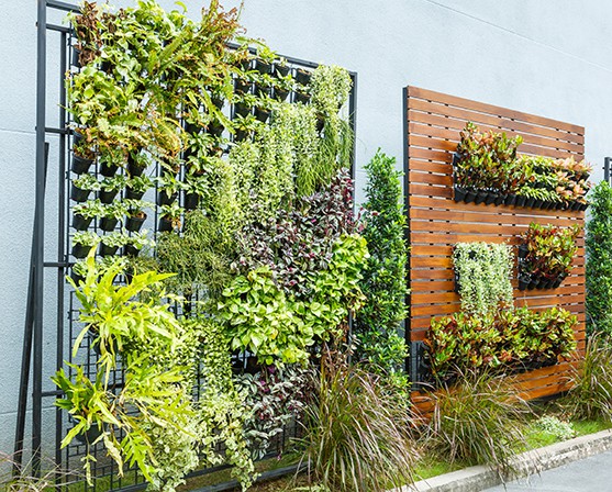 Tuinontwerp kleine tuin inrichten planten schutting verticaal tuinieren