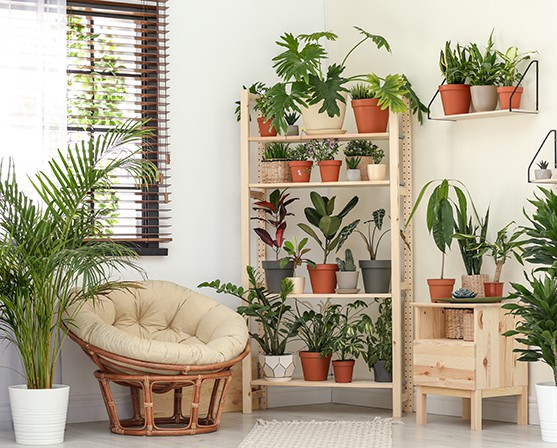 urban jungle interieur trend planten houten jaloezieën op maat